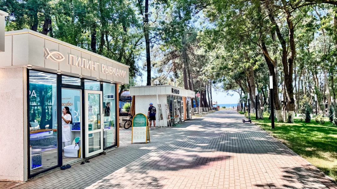Fish Spa Энергетик