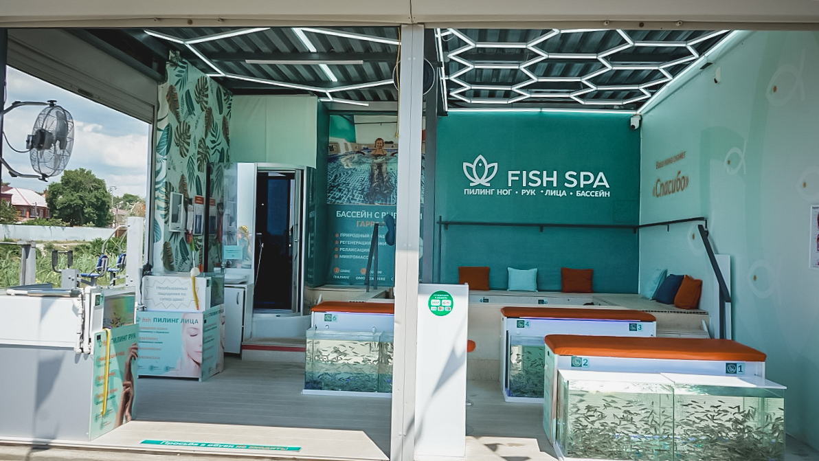 Fish Spa Мостик