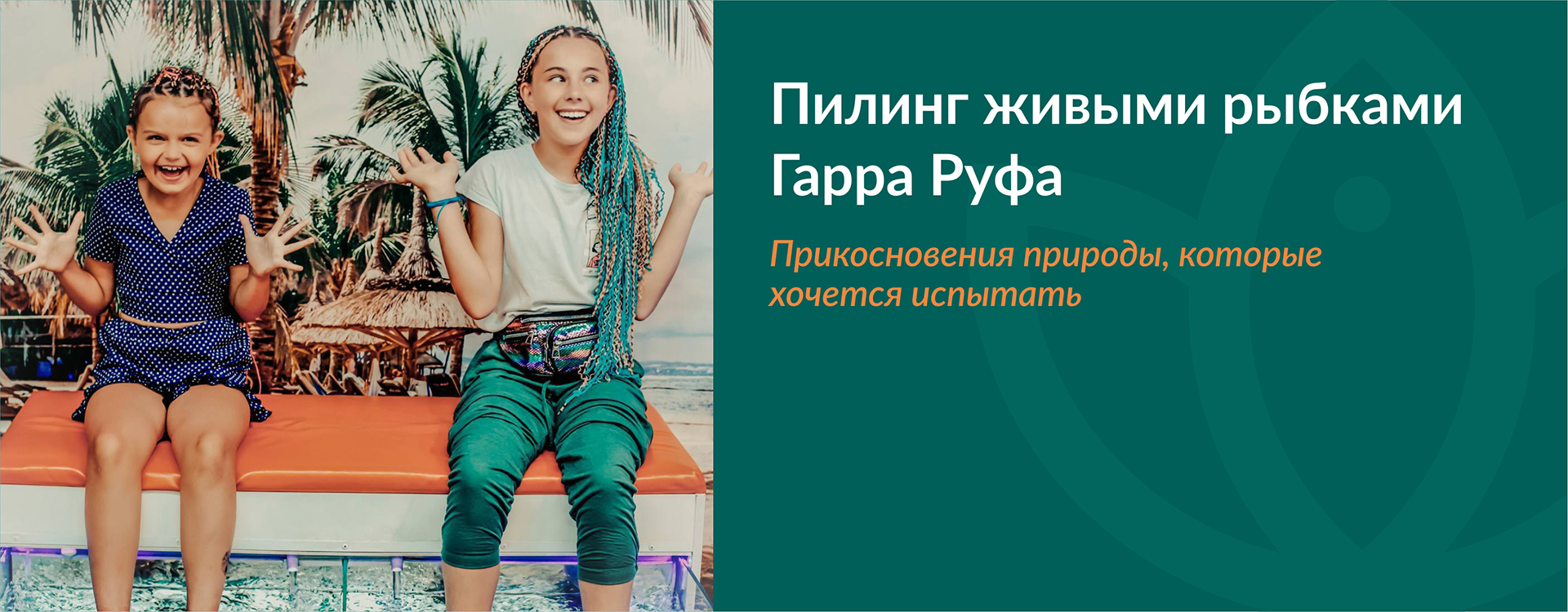 Компания Fish Spa